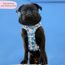Pawsome Paws Boutique Harness - Stitch