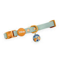 Pawsome Paws Boutique Collar - Lion and Friends