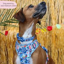 Pawsome Paws Boutique Collar - Stitch