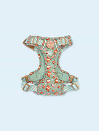 Pawsome Paws Boutique Harness - Winnie the Pooh Gingerbread