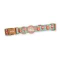 Pawsome Paws Boutique Collar - Winnie the Pooh Gingerbread