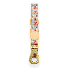 Pawsome Paws Boutique Dog Lead - Winnie the Pooh Gingerbread