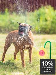Pet Brands Sunflower Sprinkler