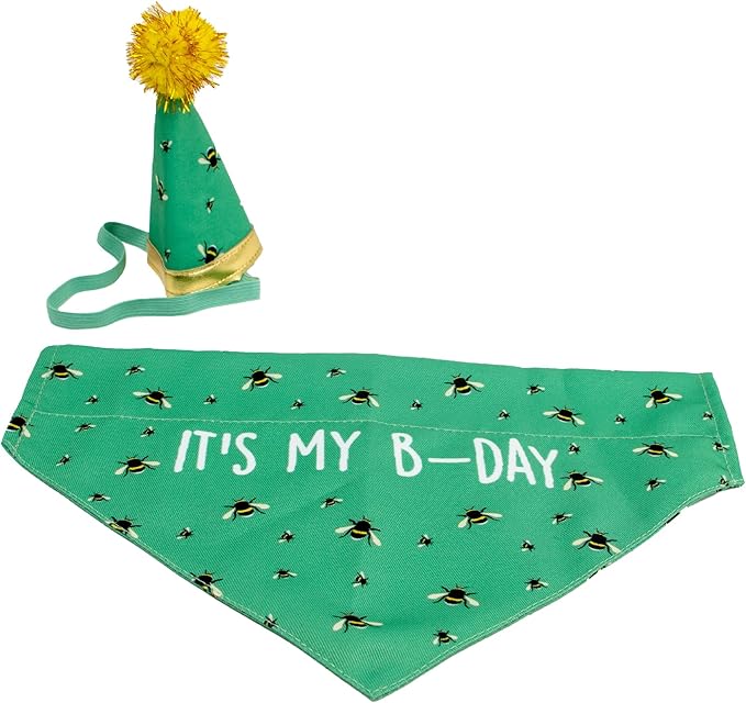 Ancol Birthday Hat and Bandana