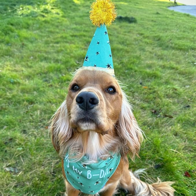 Ancol Birthday Hat and Bandana