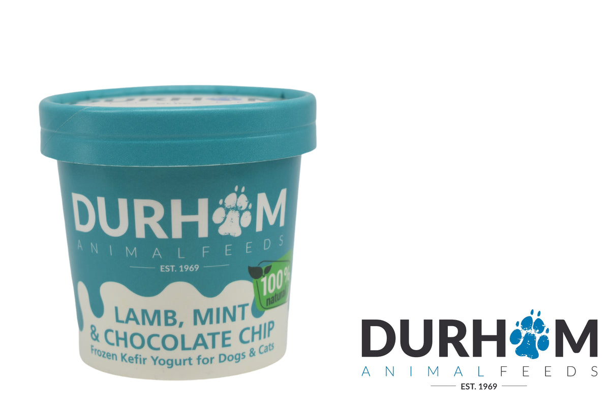 Durham Animal Feeds Frozen Kefir Yoghurt - 85ml