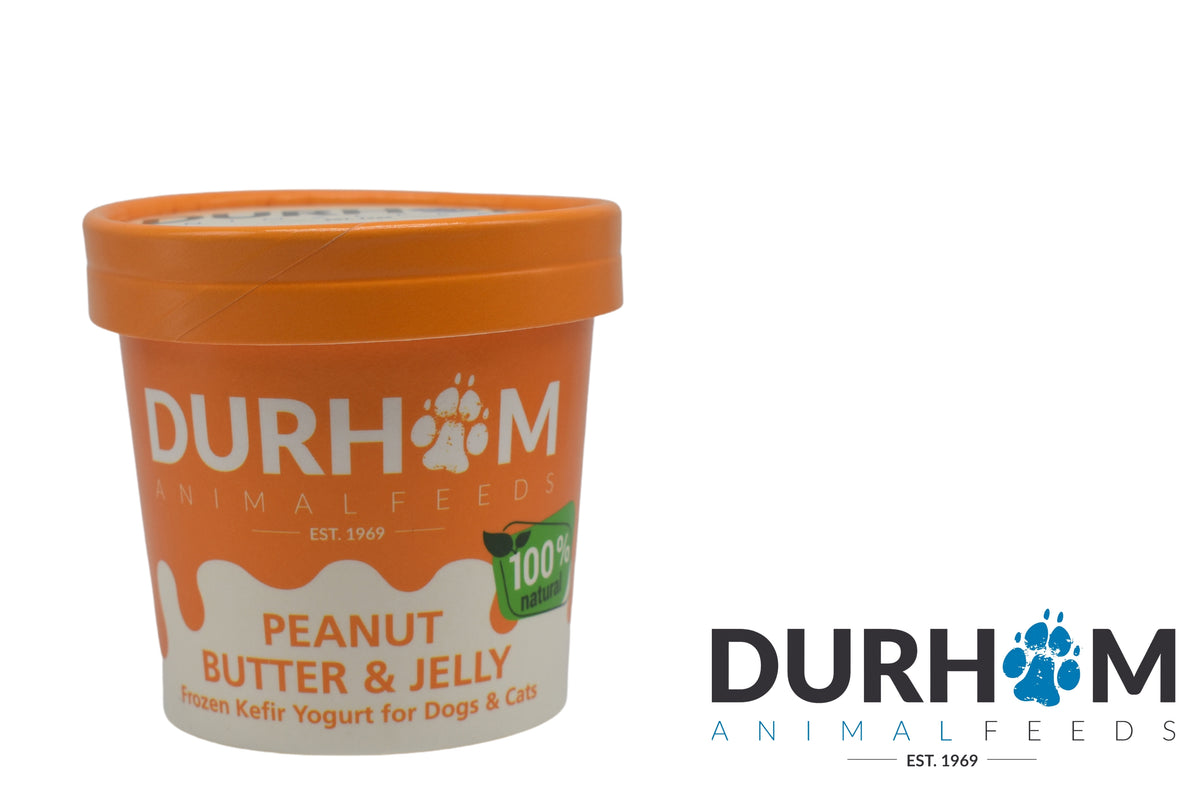 Durham Animal Feeds Frozen Kefir Yoghurt - 85ml