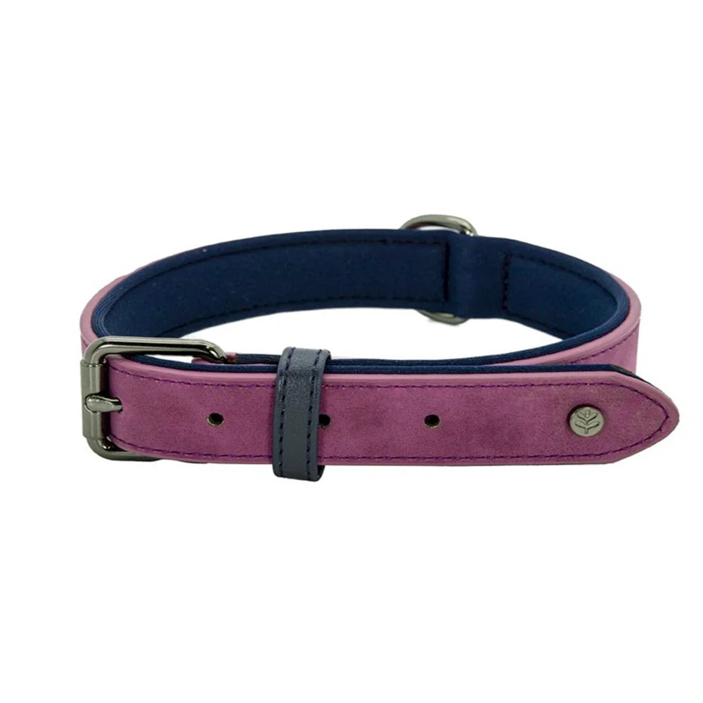 Sotnos Waterproof Collar - X-Large / Purple