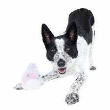 BARK! Hippie Hopper Dog Toy