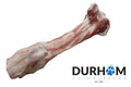 Durham Animal Feeds Jurassic Bone - 1 Piece