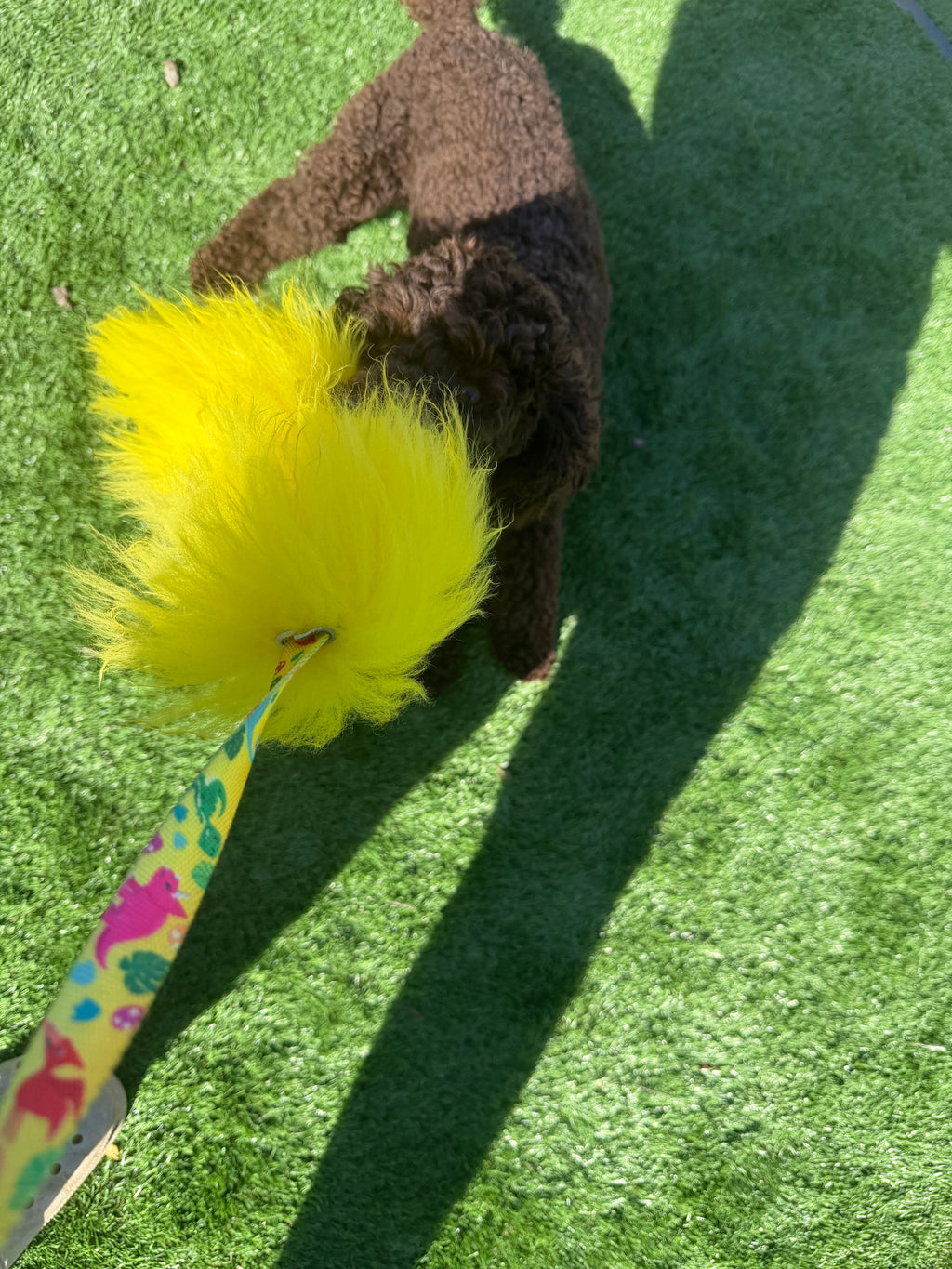 SWAG Sheepskin Chaser
