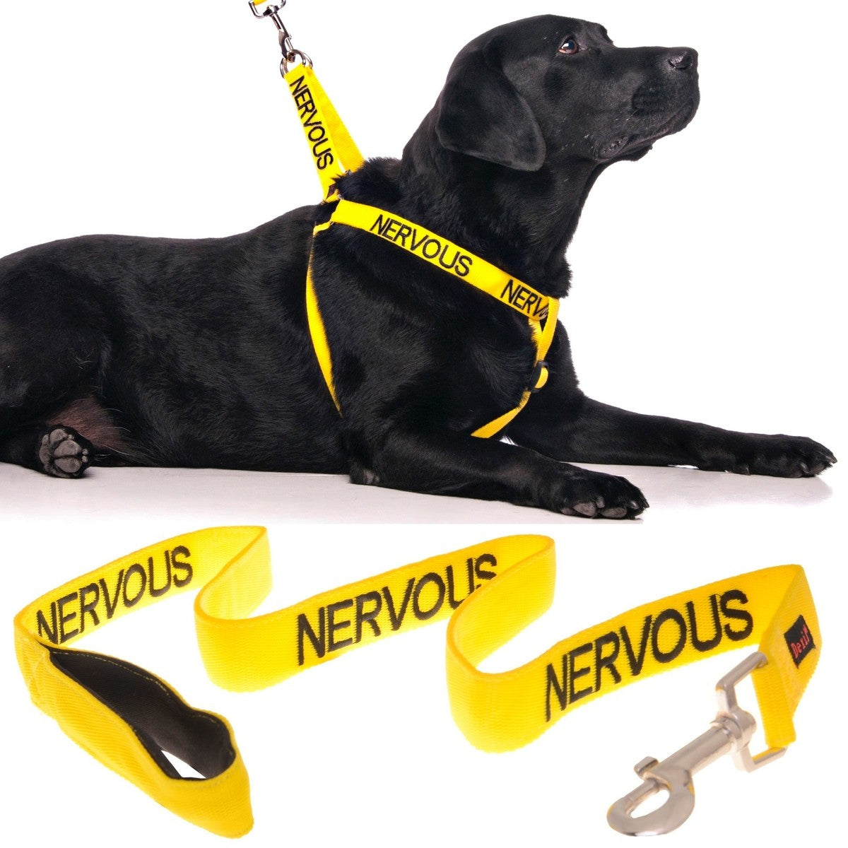 Ancol Yellow Nervous Lead - 40mm