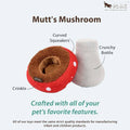 P.L.A.Y. Blooming Buddies Mutt Mushroom Dog Toy