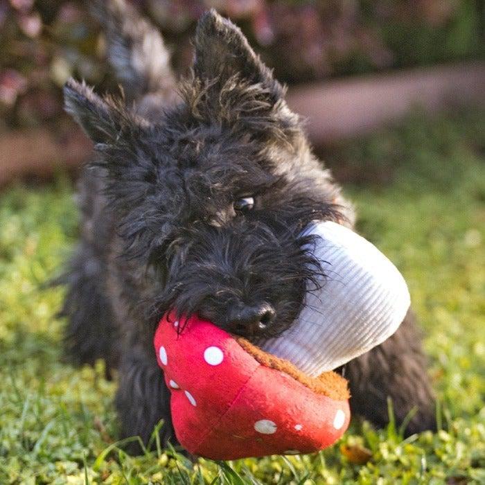 P.L.A.Y. Blooming Buddies Mutt Mushroom Dog Toy