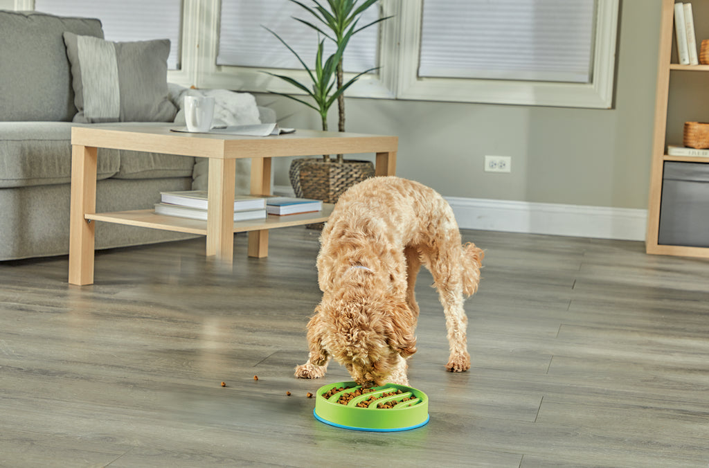 Brightkins Circle 2-in-1 Slow Feeder Bowl & Lick Mat