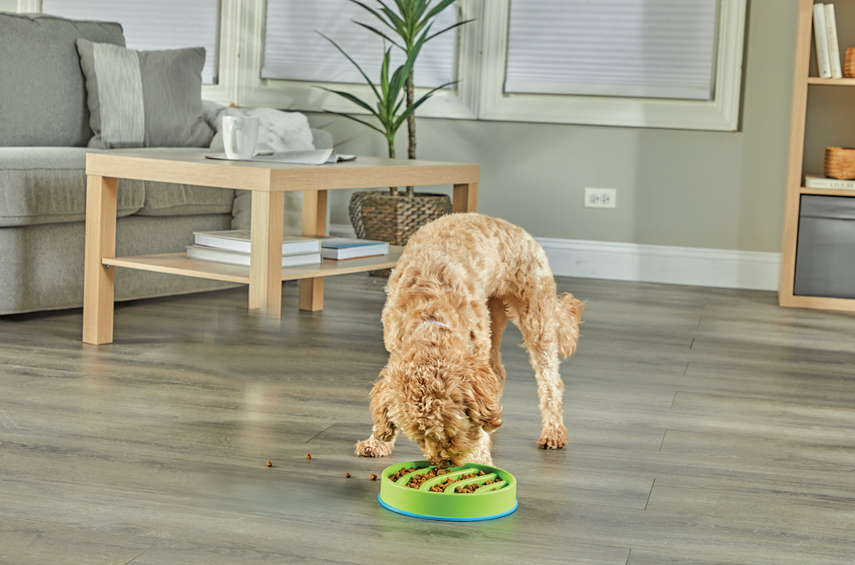 Brightkins Circle 2-in-1 Slow Feeder Bowl & Lick Mat