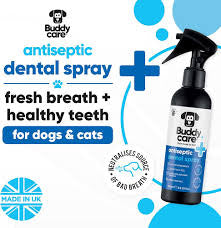 Buddycare Pet Antiseptic Dental Spray - 200ml