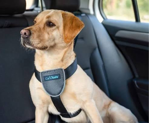 Company of Animals CarSafe Black Travel Harness