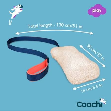 Coachi Chase & Crinkle Interactive Dog Toy