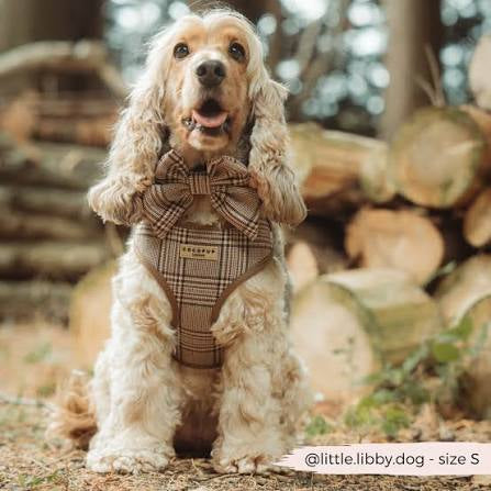 Cocopup Adjustable Neck Dog Harness - Pup Plaid