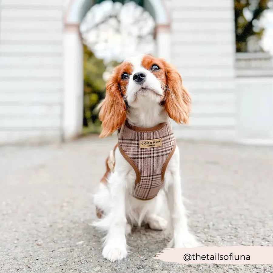 Cocopup Adjustable Neck Dog Harness - Pup Plaid