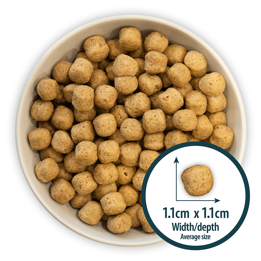 Burns Adult Dog Original Chicken & Brown Rice - 2kg