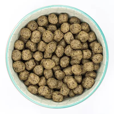 Burns Adult Dog Sensitive Grain Free Turkey & Potato - 2kg