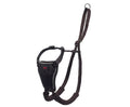 Company of Animals Halti No Pull Harness Blue