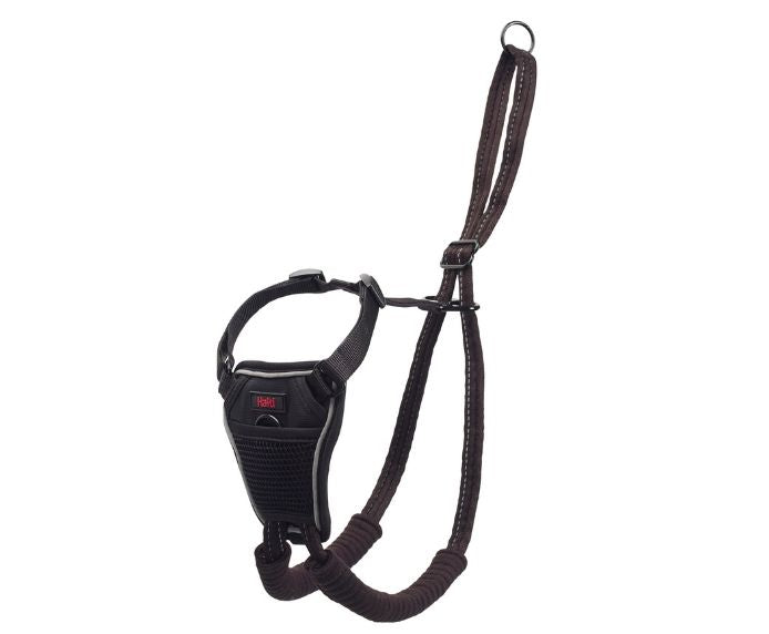 Company of Animals Halti No Pull Harness Blue