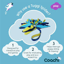 Coachi Tuggi Spider