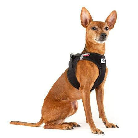 Curli Vest Dog Harness Clasp Cord - Black