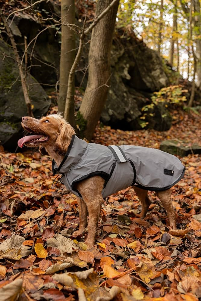 Danish Design 3-in-1 Dog Coat Light Reflective - 49cm / 19in