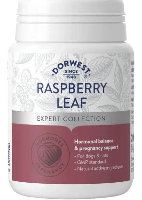 Dorwest Raspberry Leaf Tablets (200)