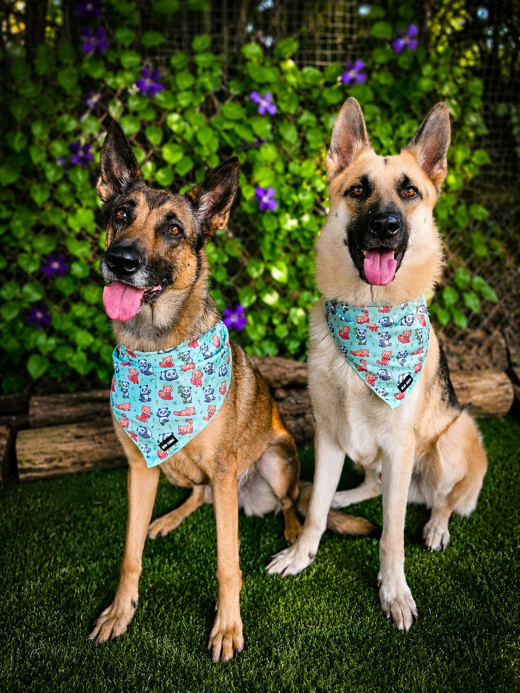 Pup Chic Boutique Cooling Bandana - Panda Paradise