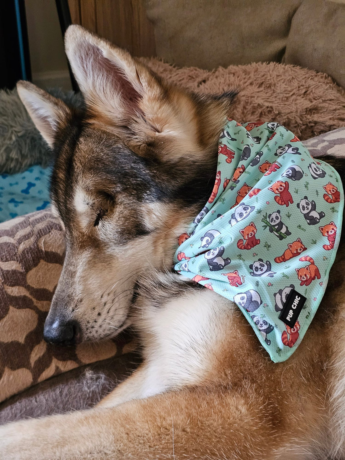 Pup Chic Boutique Cooling Bandana - Panda Paradise