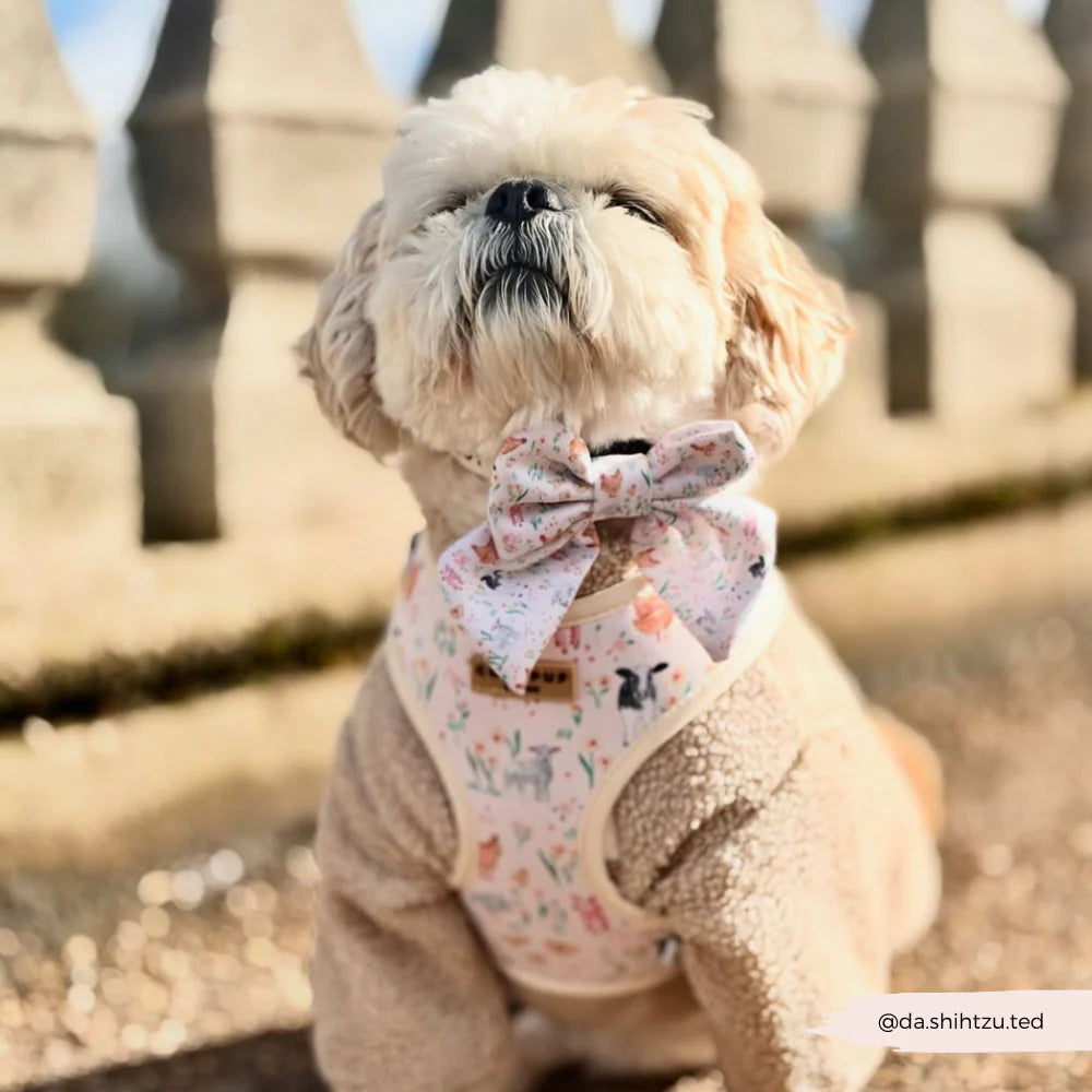 Cocopup Farmyard Friends Sailor Bow