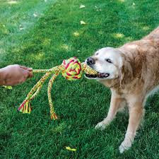 KONG Wubba Weaves with Rope - Large / Assorted