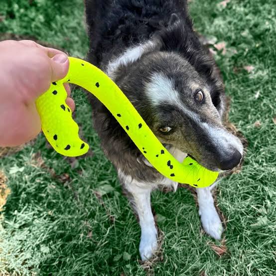 KONG Reflex Tug n Fetch