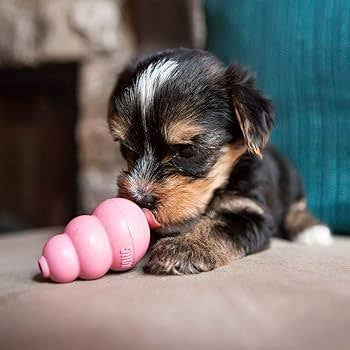 KONG Puppy - X-Small
