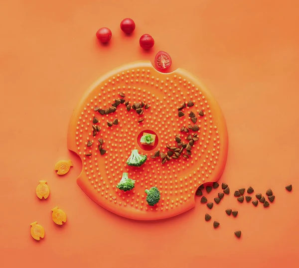 Pet Dream House Spin Accessories Medium Lick Flying Disc - Orange