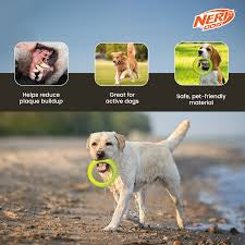 Nerf Dog Dental Tug Ring - 9in / Green