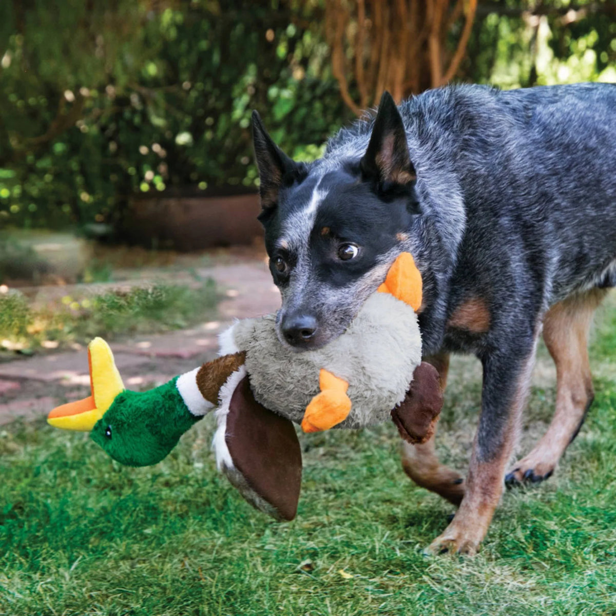 KONG Shakers Duck - Large