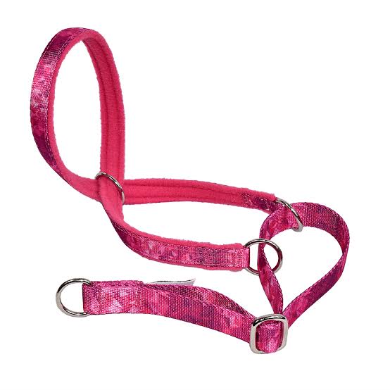 SWAG Headcollar Fuchsia