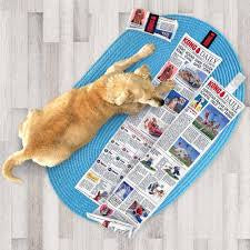 KONG Daily Newspaper - X-Large