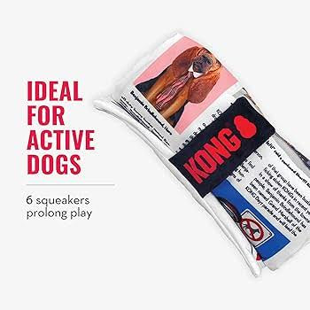 KONG Daily Newspaper - X-Large