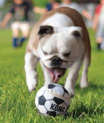 KONG Sport Footballs - Large / 2 Pack