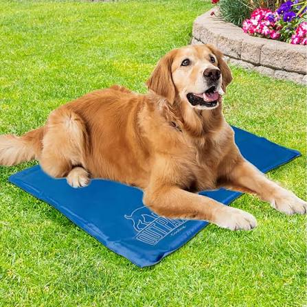 Pet Brands Pet Cooling Mat - Large / 60 x 90 x 2cm