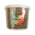 Extra Select Dried Mealworms - 500ml