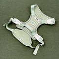 Cocopup Explore Harness - Silly Goose