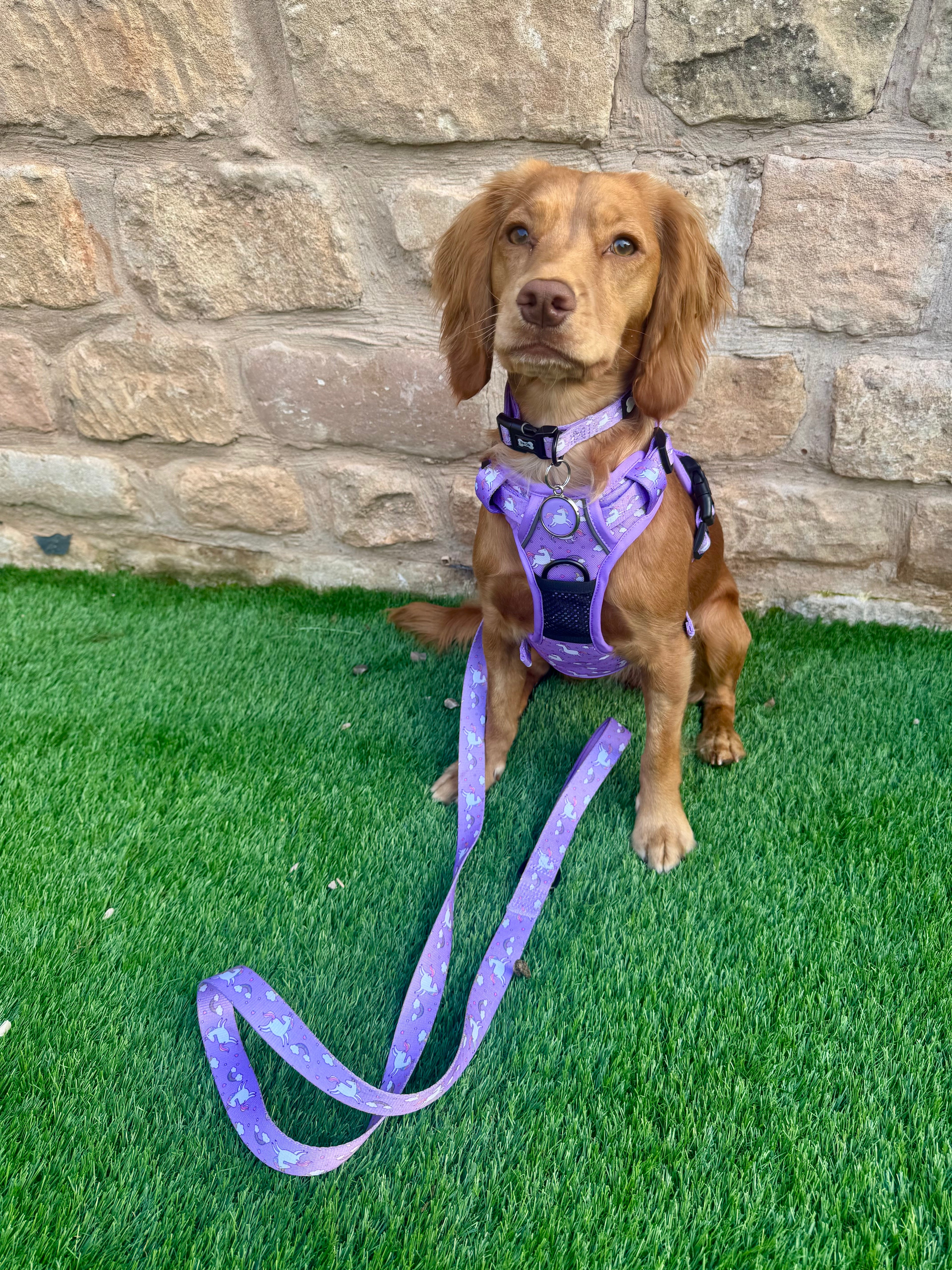 Pup Chic Boutique Tactical Dog Harness - Daydreams & Unicorns